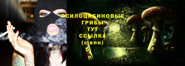трава Вязьма