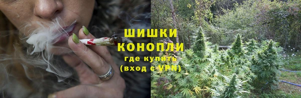 трава Вязьма