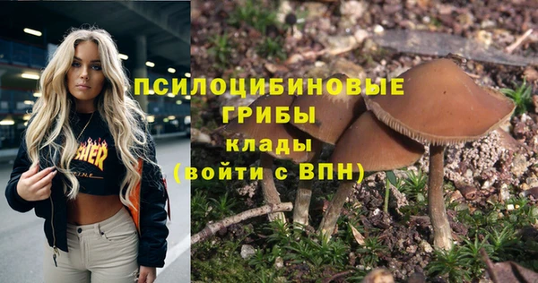 трава Вязьма